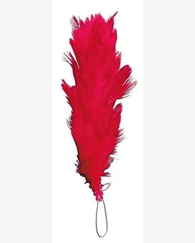 Feather / Hackle- Red